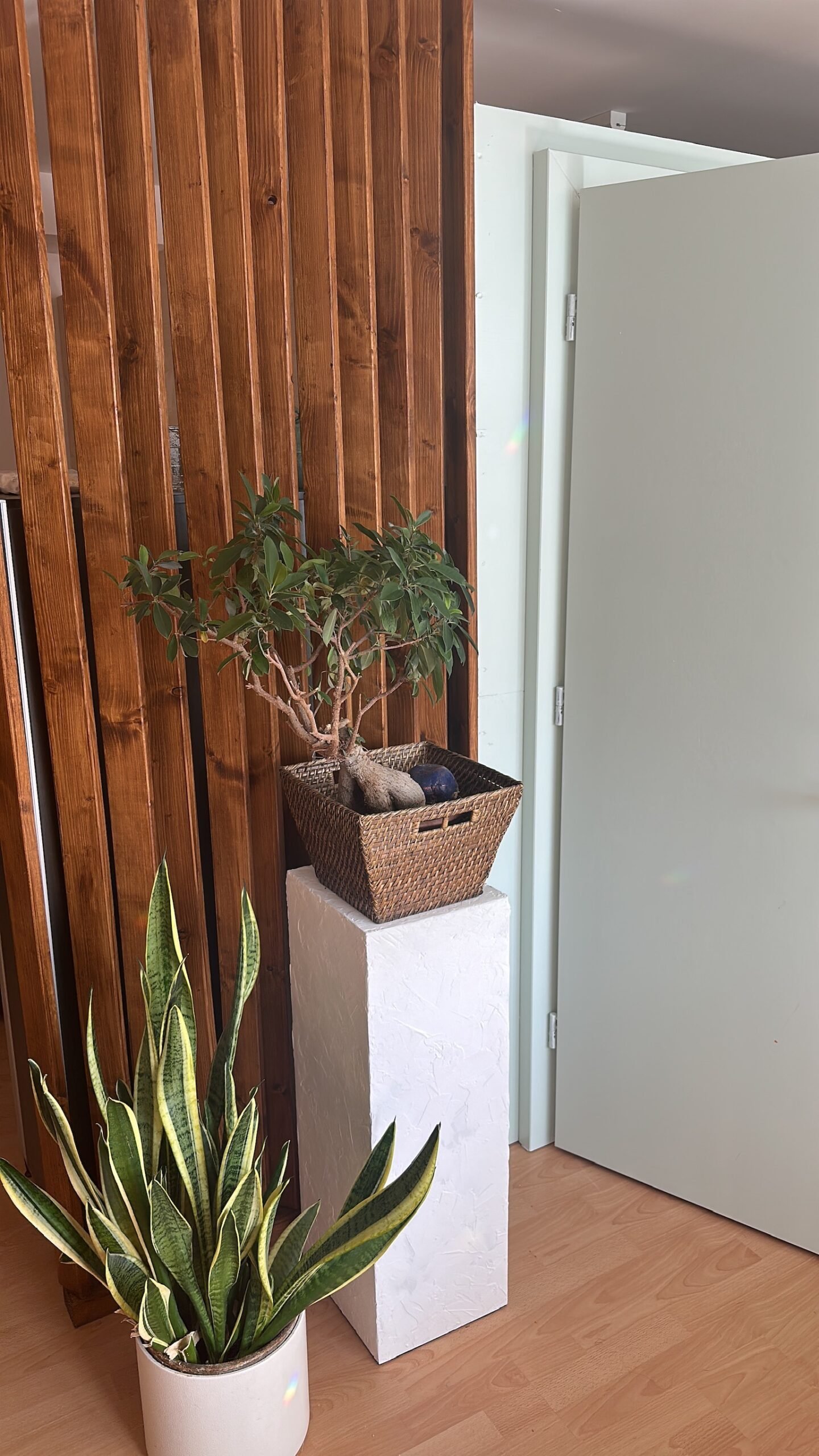 9B8B5E6F-53E5-4933-9540-323AE14FAB6A